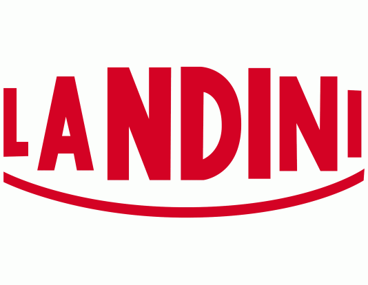 Landini